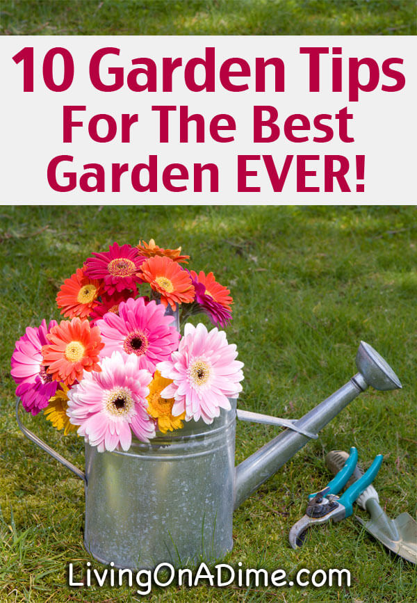 10 Garden Tips For The Best Garden EVER