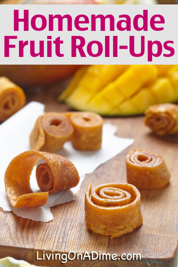 Homemade Fruit Roll-Ups Recipe