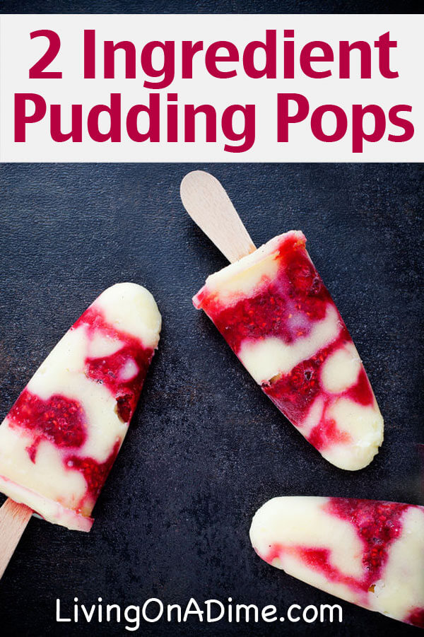 Easy Homemade Pudding Pops Recipe
