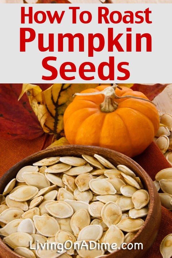 I can't believe how easy this tasty roasted pumpkin seeds recipe is and it is super yummy! It's a great way to use those pumpkin seeds, and this post also has instructions for how to roast a pumpkin, pumpkin recipes and more! Click here for the easy recipe!