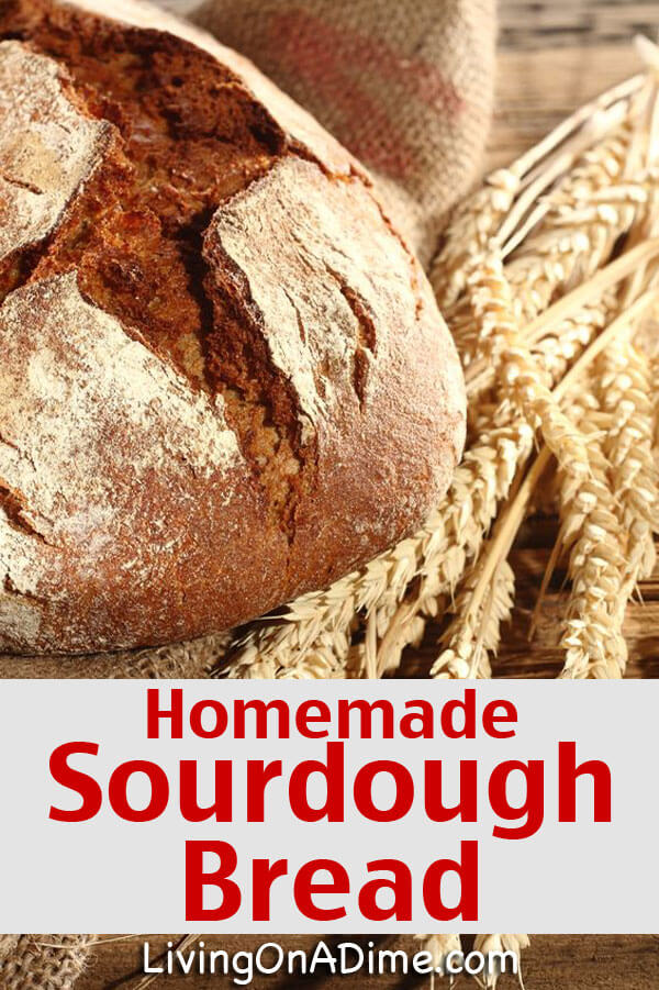 Potato Flake Sourdough Bread Starter Recipe