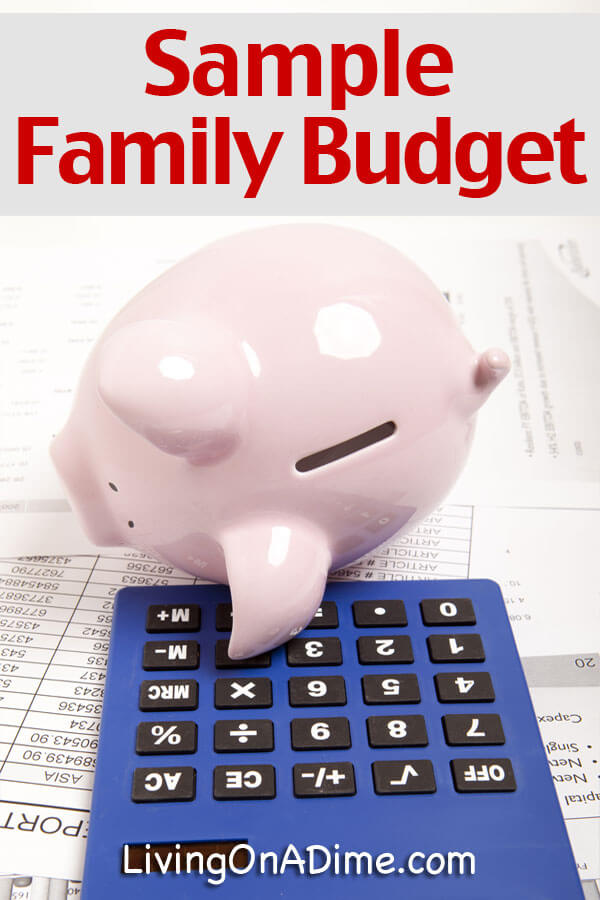 sample family budget living