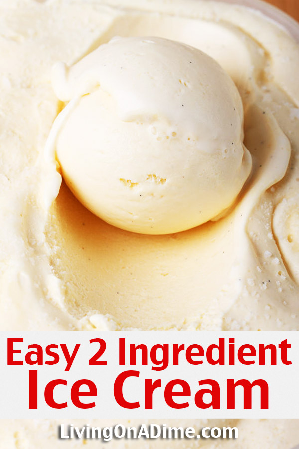 2 Ingredient Homemade Ice Cream Recipe - 12 Easy 2 Ingredient Ice Cream Recipes