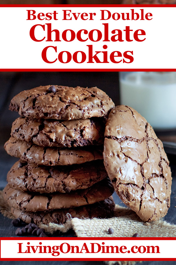 This double chocolate cookies recipe makes the most decadent and delicious chocolate drop cookies! If you need your chocolate fix for the day, these are definitely the cookies for you! They are so easy to mix and bake, you can make them in just a few minutes... Hmm, they might even be a little too convenient! ;-) Try them today and you'll be sure to add them to your list of delicious desserts you can make in a hurry!