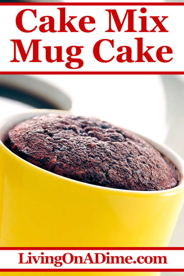 Having a chocolate attack? This mug cake recipe is a super easy way to make a delicious single serving cake in just 2 minutes! With just 2 ingredients, it's so easy, older kids can make it for themselves.