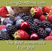 cinnamon sour cream Best Homemade Cinnamon Sour Cream Fruit Dip Recipe