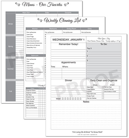 Living On A Dime To Grow Rich - Tawra's Get It Together Planner