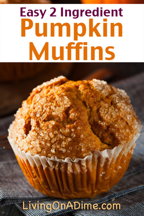 This easy 2 ingredient pumpkin muffins recipe makes moist and delicious muffins your family will love, starting with a cake mix! It's a quick and easy treat especially great in the fall when pumpkin is on sale.