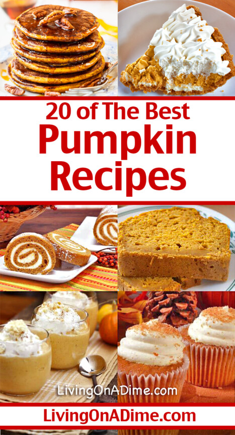 Fall is officially here, and this collection of 20 of the BEST pumpkin recipes features everything from tasty pumpkin cheesecake and fudge to creamy pies and no-bake treats. Whether you’re baking for a crowd or looking for a quick, cozy dessert, there’s sure to be a pumpkin recipe here that hits the spot!