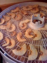 dried apples Preserving Your Garden Harvest