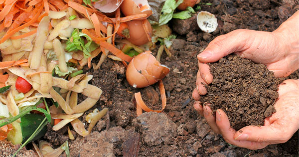 How to Compost