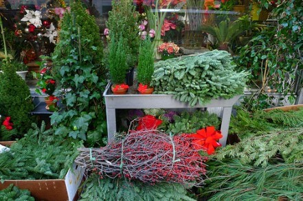 Alternatives to the christmas tree