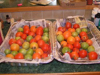 garden-tomatoes garden tomatoes