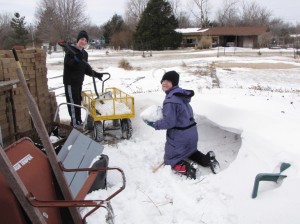 gathering snow for the snow fort