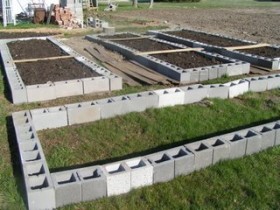 How to start a garden with raised beds