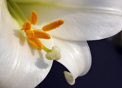 Easter Ideas - Touching Others