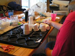 dixie cups for starting seeds indoors