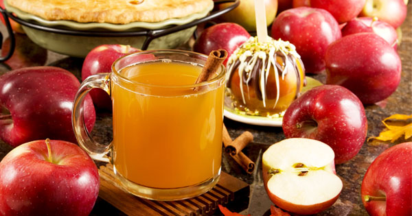 Easy Homemade Hot Apple Cider Recipe