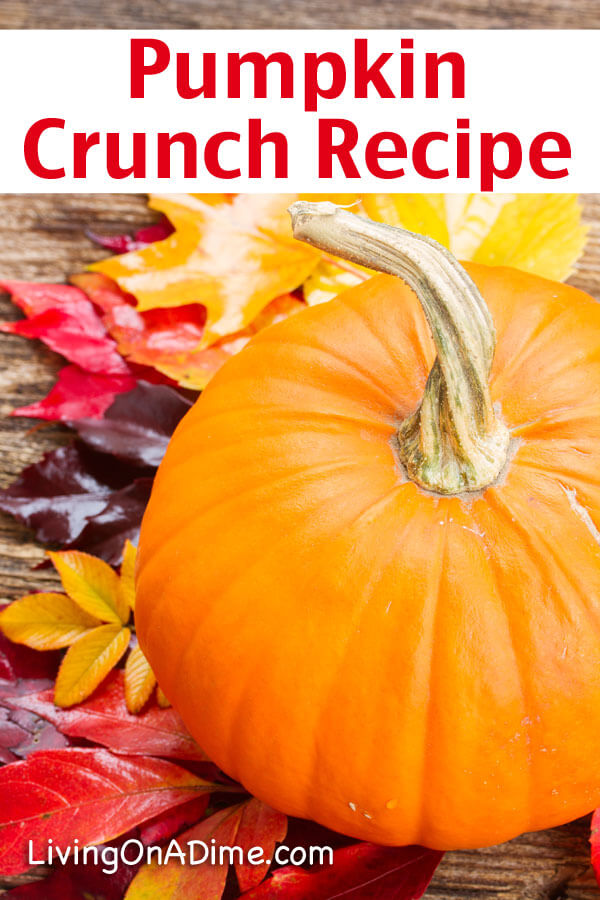 Here are 16 of the BEST pumpkin recipes! I'm one of those people who loves pumpkin so much that I will eat it all year, but I especially love fall because pumpkin is so cheap I can have as much as I want! Get these awesome recipes here!