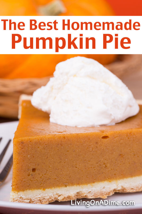 Here are 16 of the BEST pumpkin recipes! I'm one of those people who loves pumpkin so much that I will eat it all year, but I especially love fall because pumpkin is so cheap I can have as much as I want! Get these awesome recipes here!