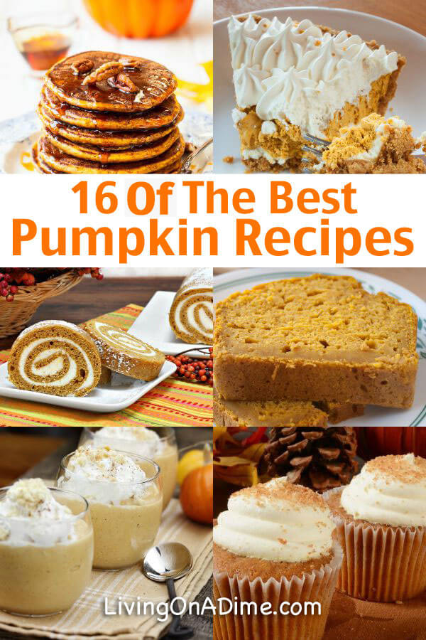 Here are 16 of the BEST pumpkin recipes! I'm one of those people who loves pumpkin so much that I will eat it all year, but I especially love fall because pumpkin is so cheap I can have as much as I want! Get these awesome recipes here!