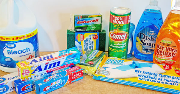 DOLLAR TREE VS. NAME BRAND CLEANING SUPPLIES 