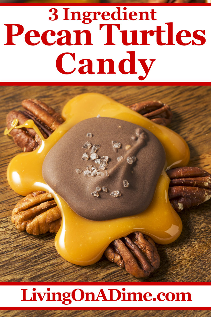 This chocolate caramel pecan turtles recipe is an easy Christmas candy recipe, perfect for the caramel pecan lover in your family! These are the same as the turtles at your favorite fudge shop, only a lot less expensive! Find this and lots more easy Christmas candy recipes with 3 ingredients or less here!