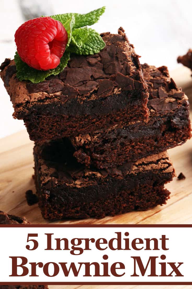 Easy Homemade Fudge Brownies Recipe Living On A Dime