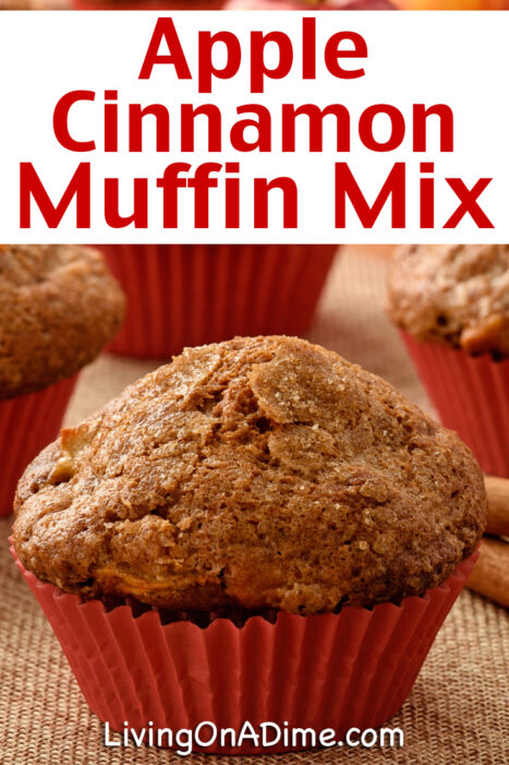 This homemade apple cinnamon muffin mix makes super yummy muffins which are great for all kinds of occasions and make easy gifts in a jar!