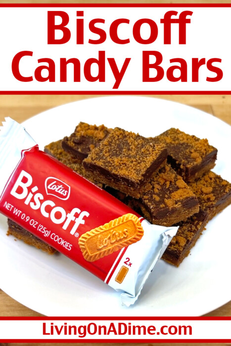 This No Bake Biscoff Candy Bars recipe layers a crunchy, buttery cookie base with a rich, creamy chocolate Biscoff topping for an irresistible treat. Quick to make and perfect for dessert or snacking, this decadent Biscoff cookie recipe is sure to disappear fast!