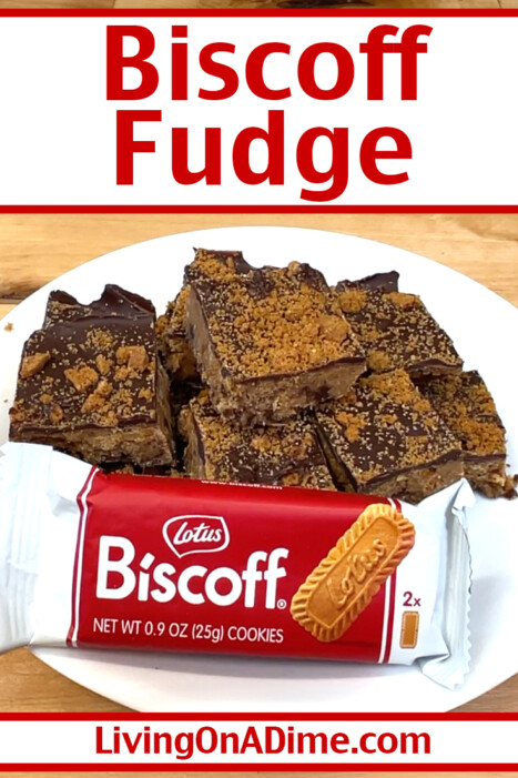 This rich and creamy Biscoff fudge recipe layers smooth Biscoff spread with luscious chocolate for an indulgent, melt-in-your-mouth treat. Just like peanut butter balls, these fudgy bites are irresistible! Perfect for sharing—or keeping all to yourself—this decadent Biscoff cookie recipe is simple to make and impossible to resist!
