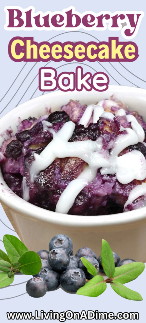 You will absolutely adore our easy blueberry cheesecake bake. Sweet and yummy, it tastes like blueberry cheesecake without all the work!