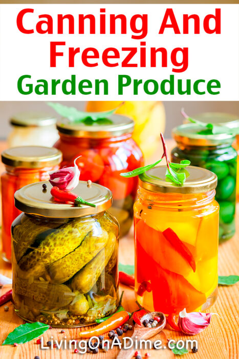 Save money eating home grown produce all year! Try these easy tips for canning and freezing vegetables from your garden or from the store.