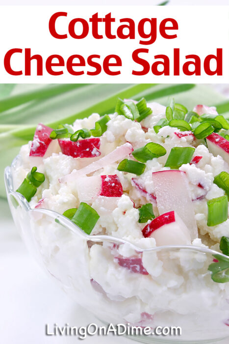 This quick and easy cottage cheese salad recipe is a tasty and colorful way to enjoy a delicious savory salad you can easily make in minutes!