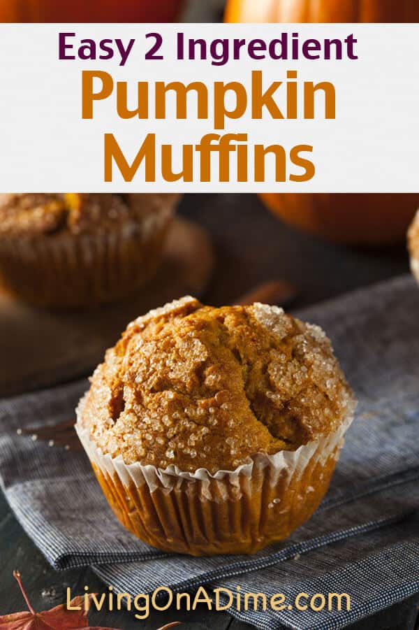 16 Of The BEST Pumpkin Recipes! Delicious And Easy Pumpkin Recipes!