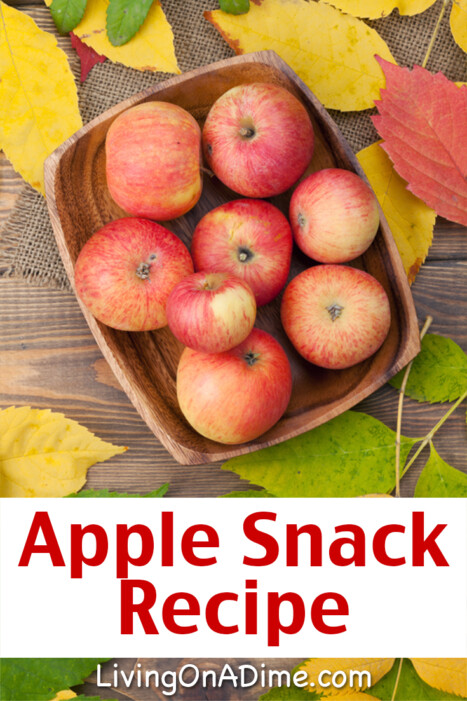 Easy Apple Snack Recipe - 18 Of The BEST EVER Apple Recipes