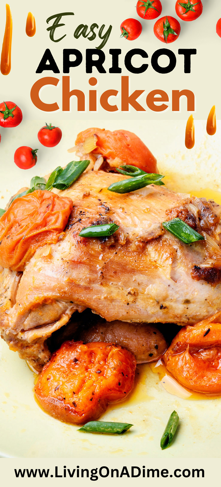 Easy Apricot Chicken Recipes Delicious Recipes To Make With Chicken!