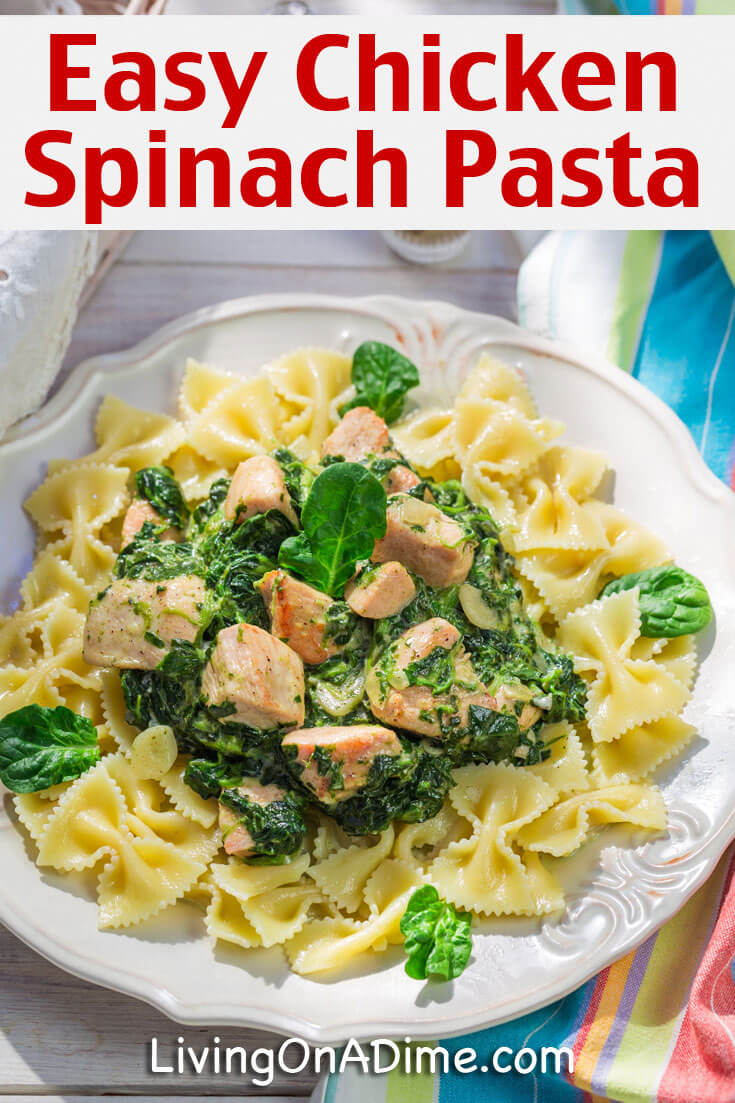 10 Easy Pasta Recipes Your Family Will Love! - Living On A Dime