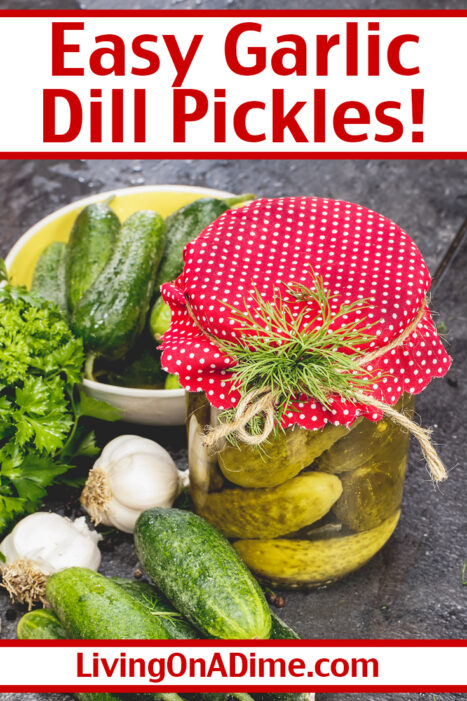 This easy homemade garlic pickles recipe is a tasty way to use garden produce. These homemade pickles are super yummy and anyone can make them!
