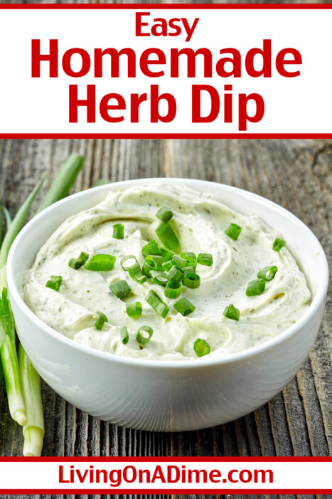 This rich and creamy Homemade Herb Dip Recipe tastes like the gourmet party dips sold in specialty shops at a fraction of the price! Be sure to use dried herbs—not powdered seasoning—for the best texture and flavor. Perfect for holidays, parties, and make-ahead snacking.