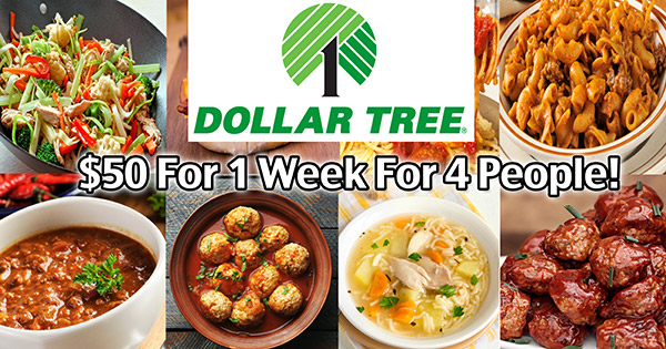 Easy Meals From Dollar Tree Food - Quick And Easy Recipes!