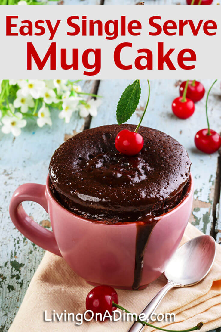 Quick and Easy Single Serve Mug Cake Recipe Living On A Dime