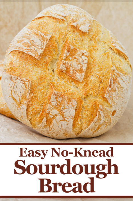 This easy no knead sourdough bread recipe is a great guide to make fresh baked bread at home! Your family will love this easy sourdough bread and if you have never made bread before, this sourdough bread recipe will make you feel like a pro!