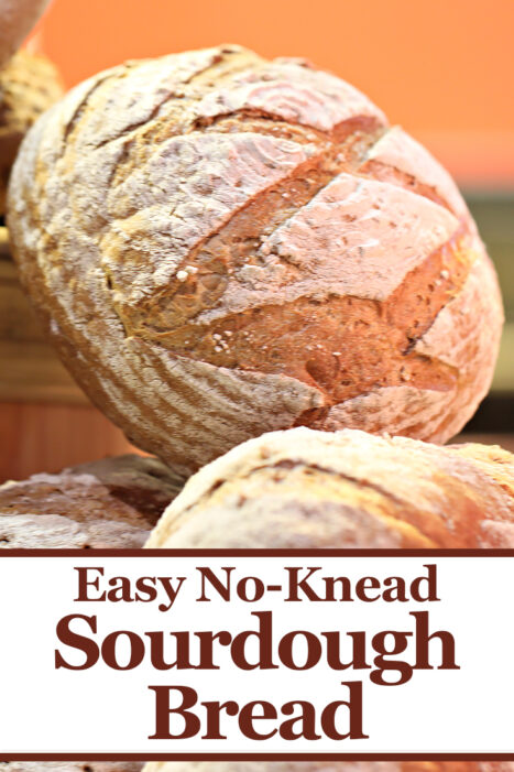 This easy no knead sourdough bread recipe is a great guide to make fresh baked bread at home! Your family will love this easy sourdough bread and if you have never made bread before, this sourdough bread recipe will make you feel like a pro!