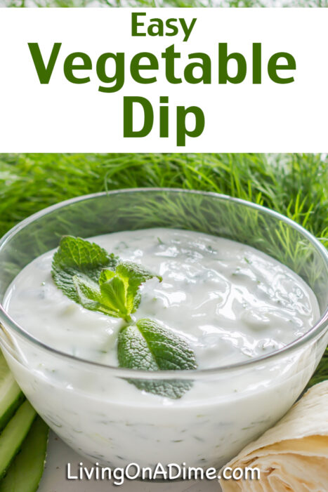 This easy vegetable dip recipe is the perfect complement to raw fresh vegetabes. Make it for yourself or bring it as your quick and easy contribution to a party!