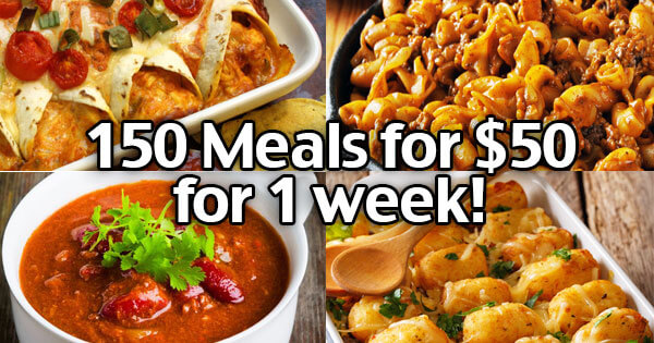 Budget Grocery Haul And Meal Plan - 105 Meals, $50 for 1 Week! - Living ...