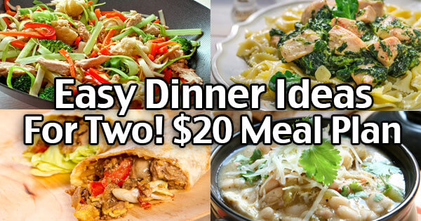 Easy Dinner Ideas For Two! $20 Weekly And Delicious! - Living On A Dime