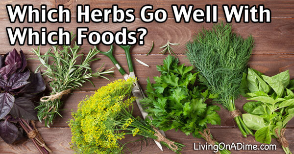 Herb Guide – Which Herbs Go Well With Which Foods?