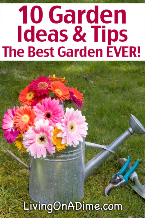 Here are 10 garden ideas and tips sure to give you the best garden ever! Check out our tips for easy composting, cheap and natural weed killer, organizing your garden shed, free seed starting containers and much more!