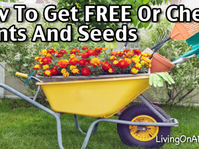 Gardening is a fun and relaxing hobby that can easily be inexpensive. Here are some easy ways to get free plants and seeds for your garden!